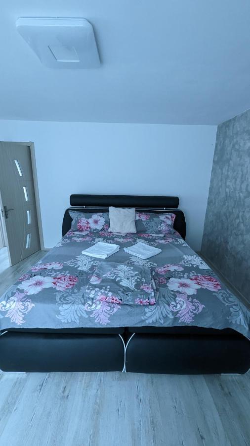 Casa Beatrice Villa Călimăneşti Kültér fotó